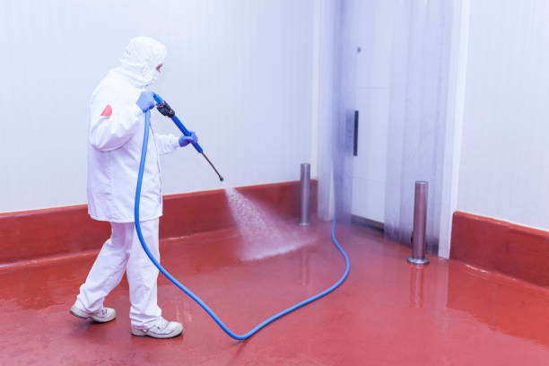 Spring Cleaning in River Rouge, MI