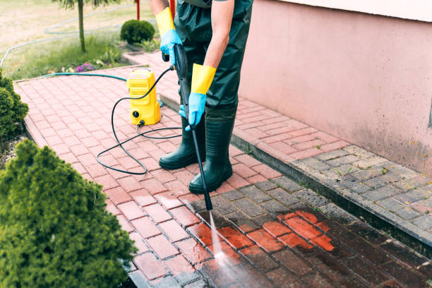 Professional  Pressure Washing Services in River Rouge, MI