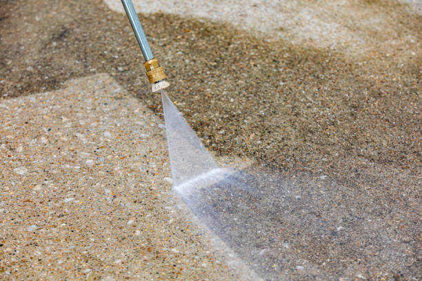Best Sidewalk and Walkway Cleaning  in River Rouge, MI