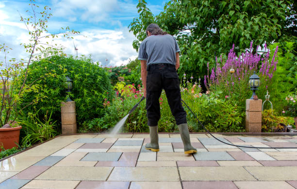 Best Patio and Deck Pressure Washing  in River Rouge, MI